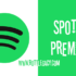 Spotify Music Premium 对于Windows