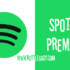 Spotify Music Premium para Windows